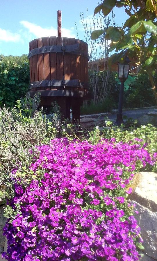 Bed and Breakfast Lou Mas Dau Paigran Saint-Blaise  Exterior foto